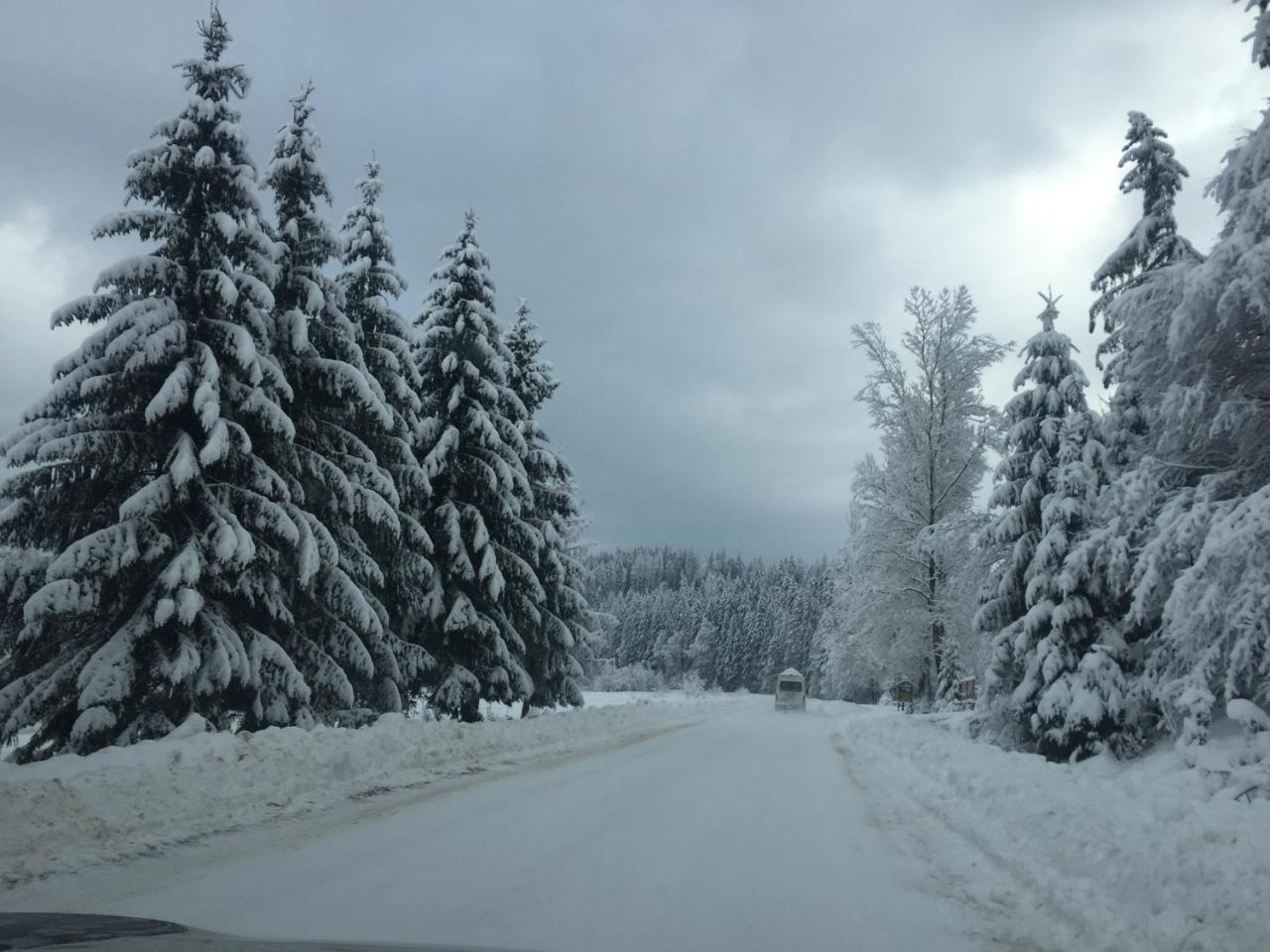Котедж Смерекова Хата- Пилипець Kelechin Buitenkant foto